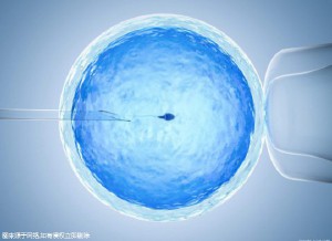 林教授